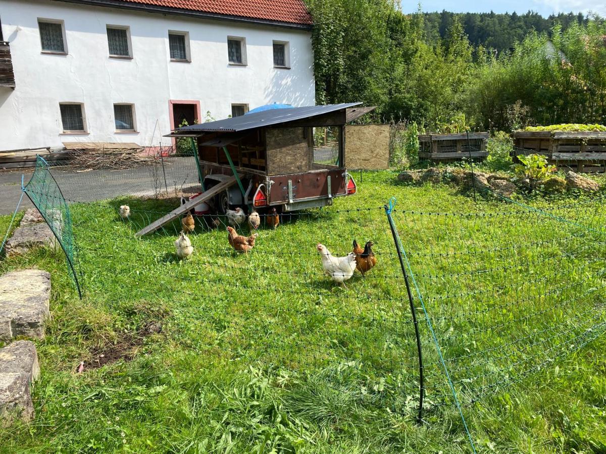 Gasthof Zur Sagemuhle Διαμέρισμα Hiltpoltstein Εξωτερικό φωτογραφία